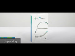 BMC P6 Nasal Pillow Mask